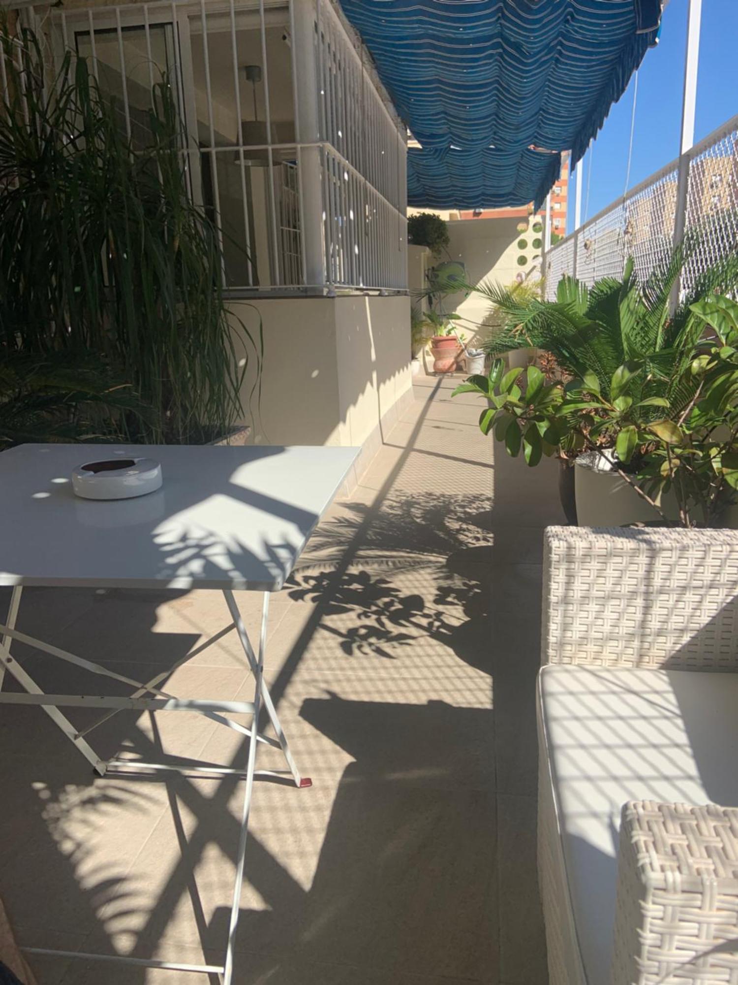 סביליה Apartamento Jardin Cerca Del Centro מראה חיצוני תמונה